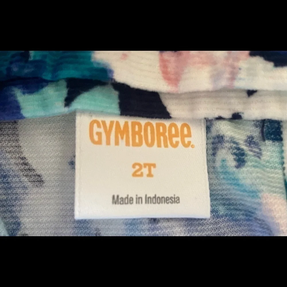 GYMBOREE, girls stunning dress, blue floral corduroy, 3 button back